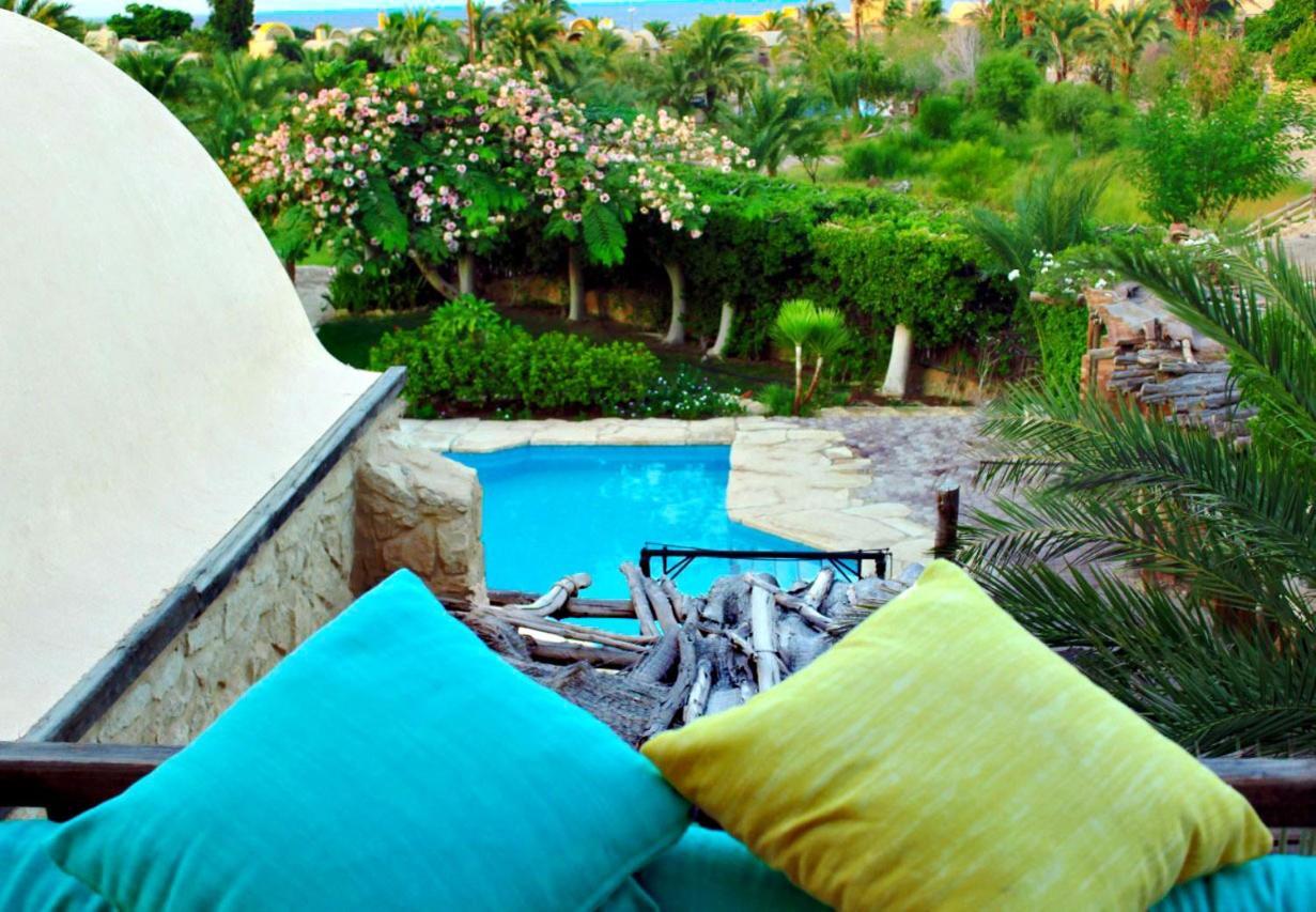 Tunis View